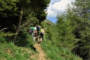 68 Volontari del CAI al lavoro per sistemare tratti del sent. 428